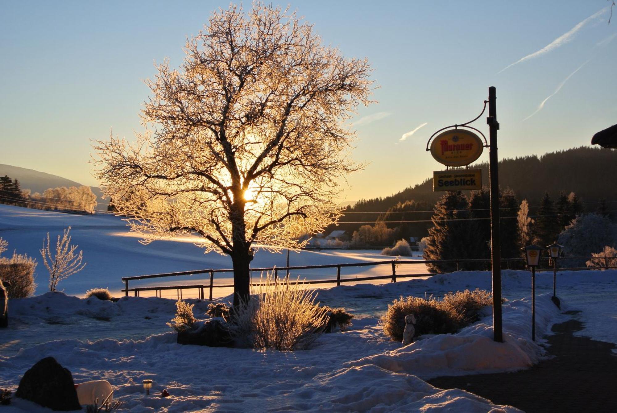 Hotel Gasthof Seeblick Zeutschach Eksteriør bilde